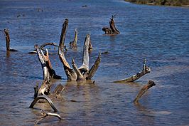 DSC04450 -1_t.jpg